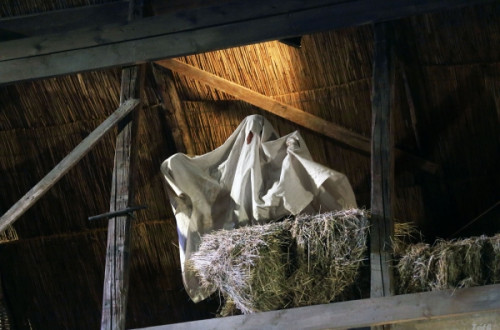 Indul a bakterház | előadásfotók #29