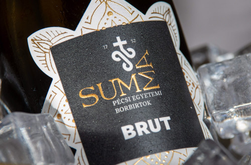 Új pécsi pezsgővel koccintott a város a Pécsi Nemzeti Színházban #4