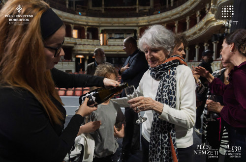 Új pécsi pezsgővel koccintott a város a Pécsi Nemzeti Színházban #48