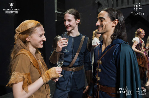 Új pécsi pezsgővel koccintott a város a Pécsi Nemzeti Színházban #43