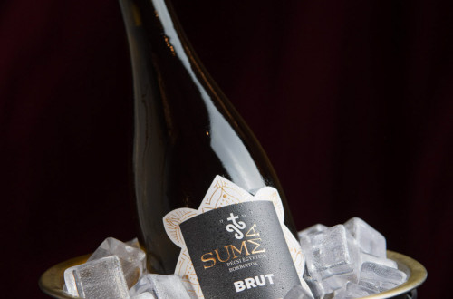 Új pécsi pezsgővel koccintott a város a Pécsi Nemzeti Színházban #5