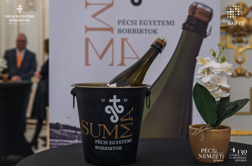 Új pécsi pezsgővel koccintott a város a Pécsi Nemzeti Színházban #9