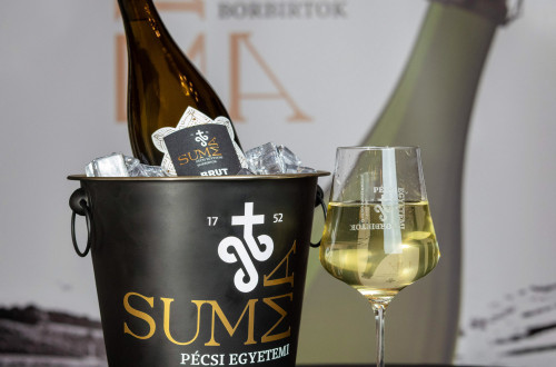 Új pécsi pezsgővel koccintott a város a Pécsi Nemzeti Színházban #33