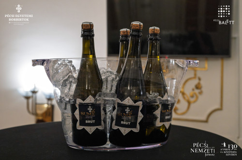 Új pécsi pezsgővel koccintott a város a Pécsi Nemzeti Színházban #7