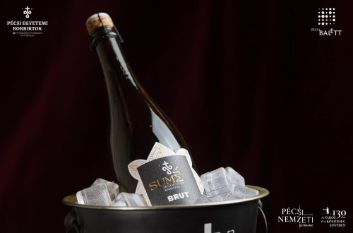 Új pécsi pezsgővel koccintott a város a Pécsi Nemzeti Színházban #6