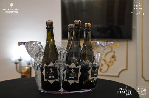 Új pécsi pezsgővel koccintott a város a Pécsi Nemzeti Színházban #8