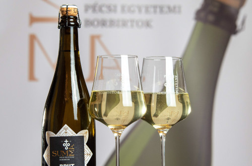 Új pécsi pezsgővel koccintott a város a Pécsi Nemzeti Színházban #3