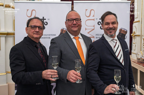 Új pécsi pezsgővel koccintott a város a Pécsi Nemzeti Színházban #31