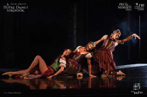 A Notre Dame-i toronyőr #133