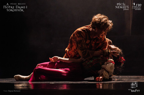 A Notre Dame-i toronyőr #101