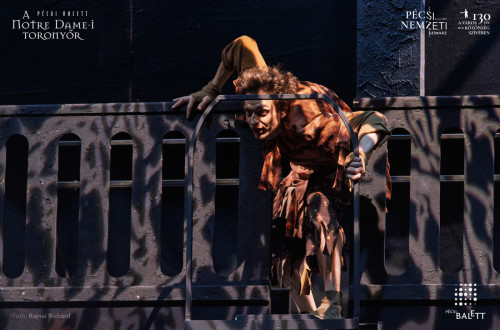 A Notre Dame-i toronyőr #5