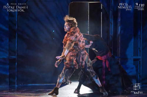 A Notre Dame-i toronyőr #40