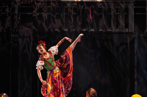 A Notre Dame-i toronyőr #29