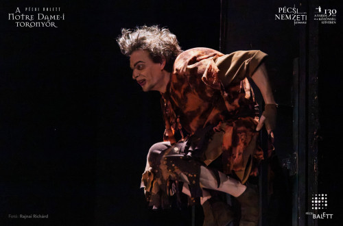 A Notre Dame-i toronyőr #12