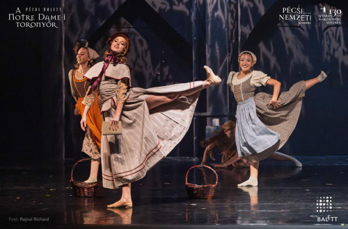 A Notre Dame-i toronyőr #9