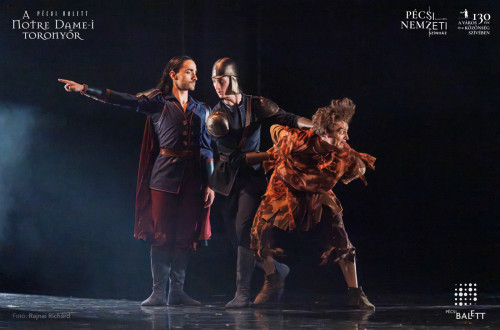 A Notre Dame-i toronyőr #47