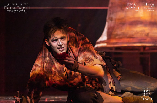 A Notre Dame-i toronyőr #132