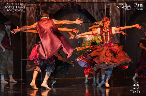 A Notre Dame-i toronyőr #15