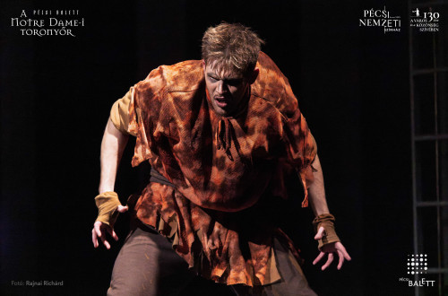 A Notre Dame-i toronyőr #151