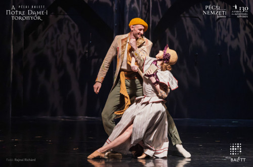 A Notre Dame-i toronyőr #10