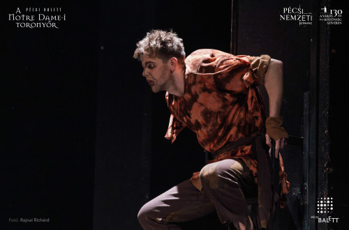 A Notre Dame-i toronyőr #118