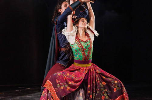 A Notre Dame-i toronyőr #135