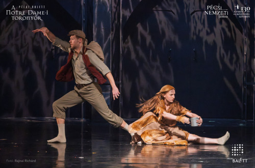 A Notre Dame-i toronyőr #8