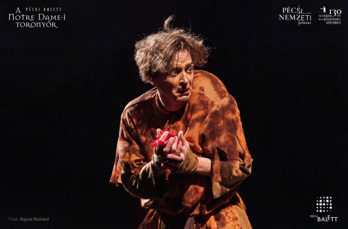 A Notre Dame-i toronyőr #95