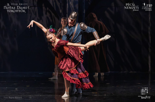 A Notre Dame-i toronyőr #11