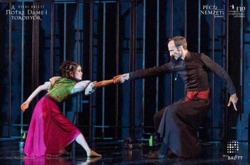 A Notre Dame-i toronyőr #74