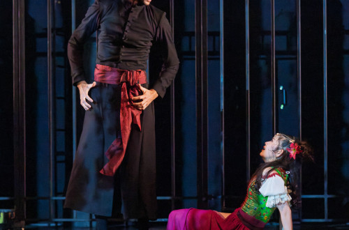 A Notre Dame-i toronyőr #77