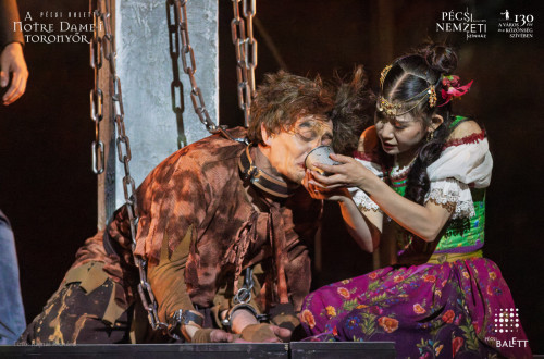 A Notre Dame-i toronyőr #57