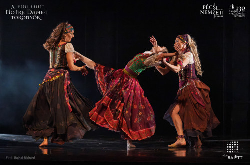 A Notre Dame-i toronyőr #49