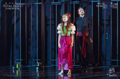 A Notre Dame-i toronyőr #73