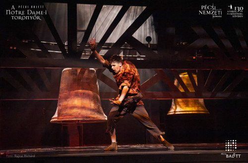 A Notre Dame-i toronyőr #108