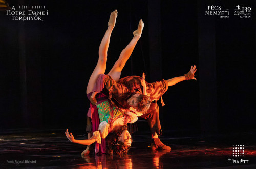 A Notre Dame-i toronyőr #147