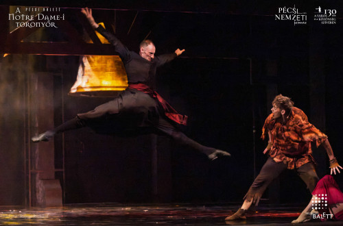 A Notre Dame-i toronyőr #148