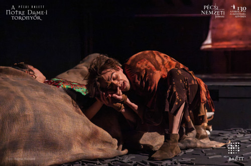 A Notre Dame-i toronyőr #81