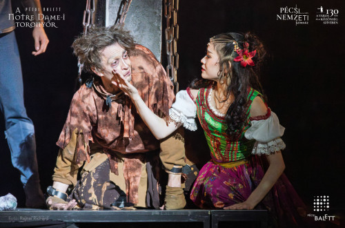 A Notre Dame-i toronyőr #56