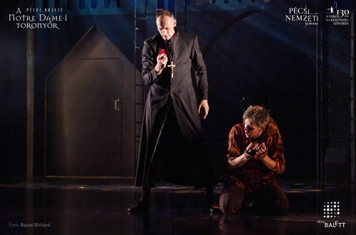 A Notre Dame-i toronyőr #138