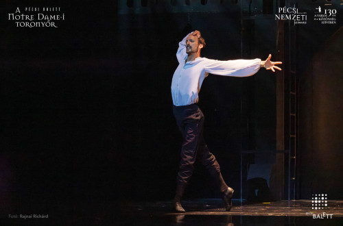 A Notre Dame-i toronyőr #63