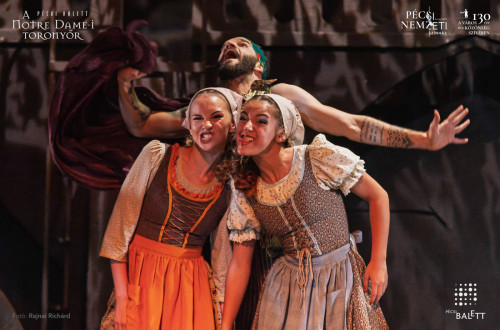 A Notre Dame-i toronyőr #17