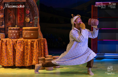 Micimackó #13