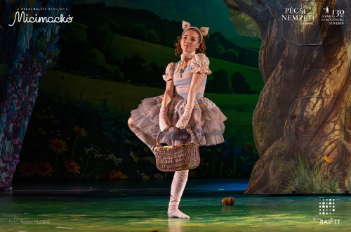 Micimackó #17