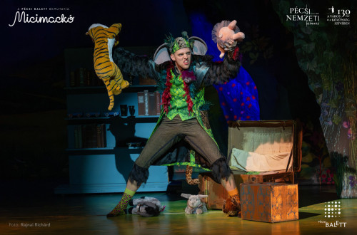 Micimackó #9