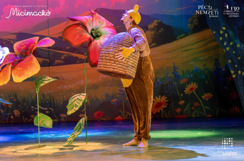 Micimackó #31