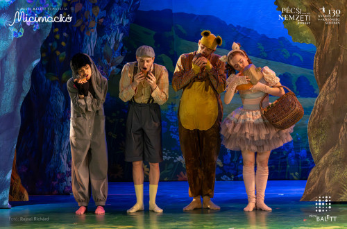Micimackó #28