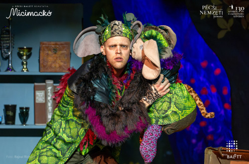 Micimackó #11