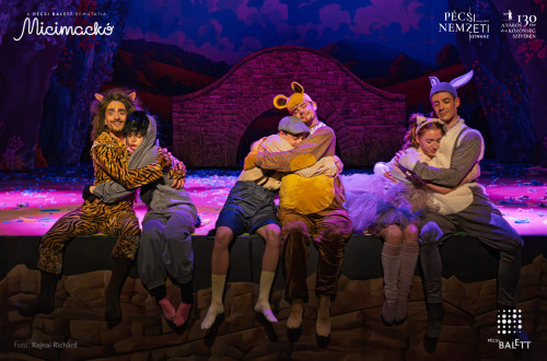 Micimackó #60