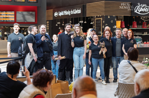 Flashmob a Nemzeti Ünnepen 2026-ban #11